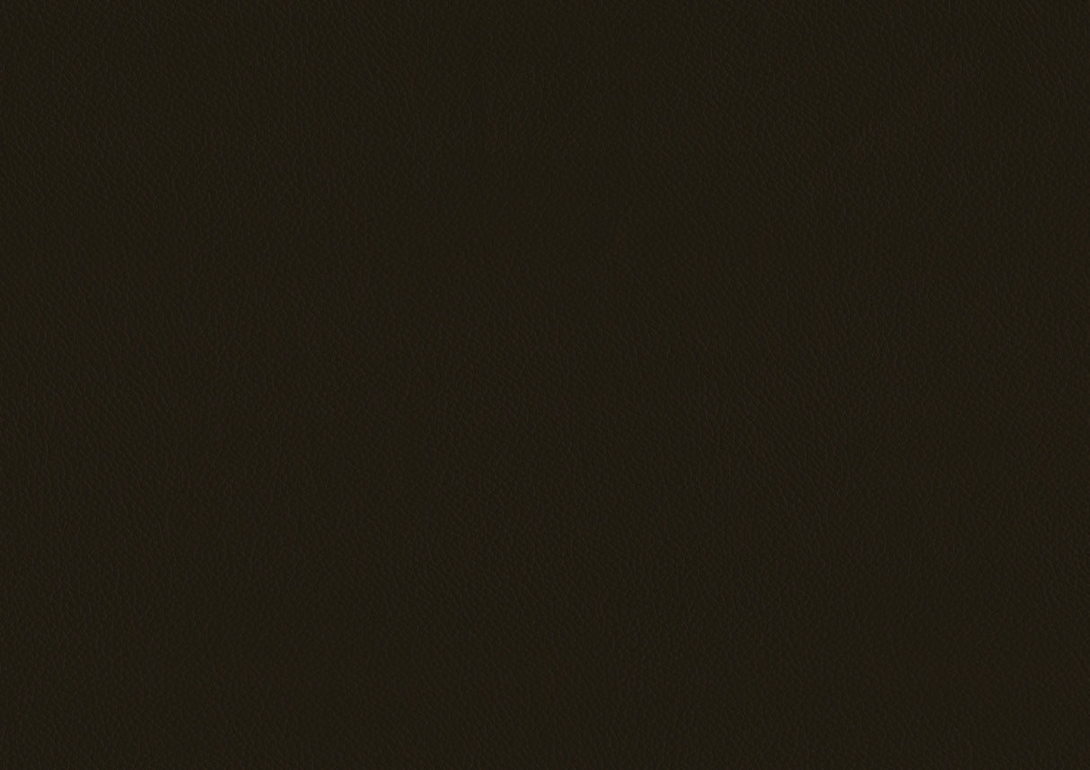 Ride Matt Brown Counter Height Stool, Set of 2