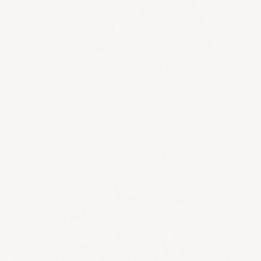 Bishop Upholstered Side Chairs White And Chrome (Set Of 2)