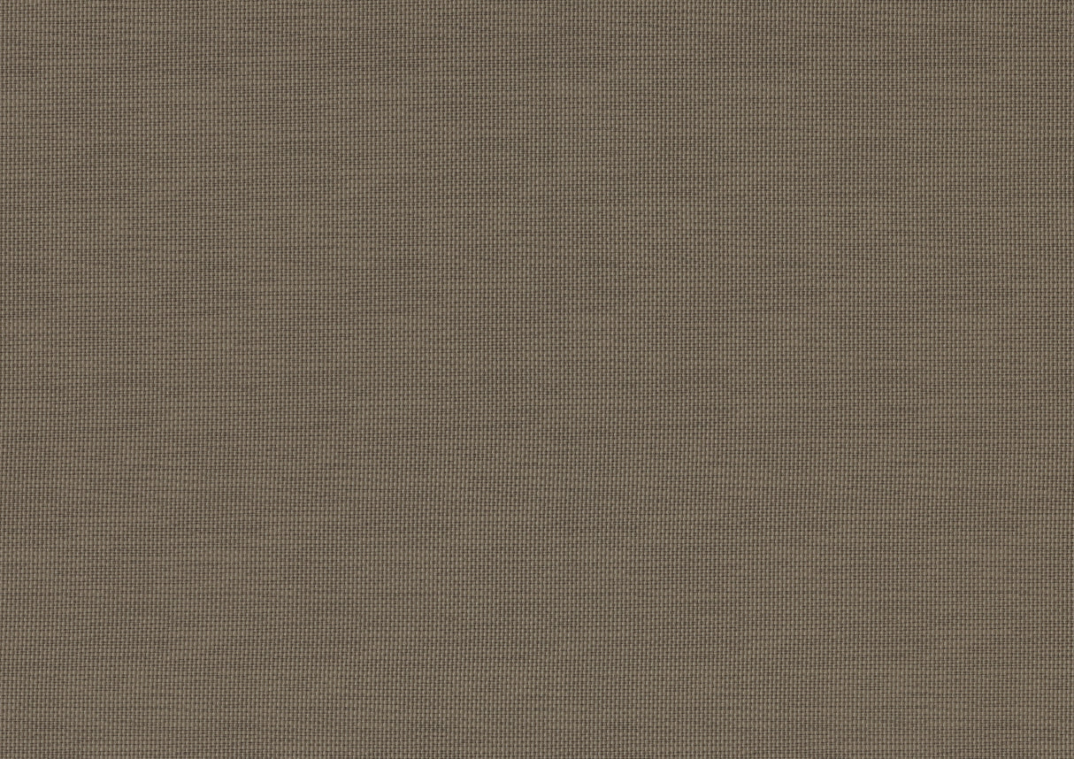 Ever Champagne Queen Bed