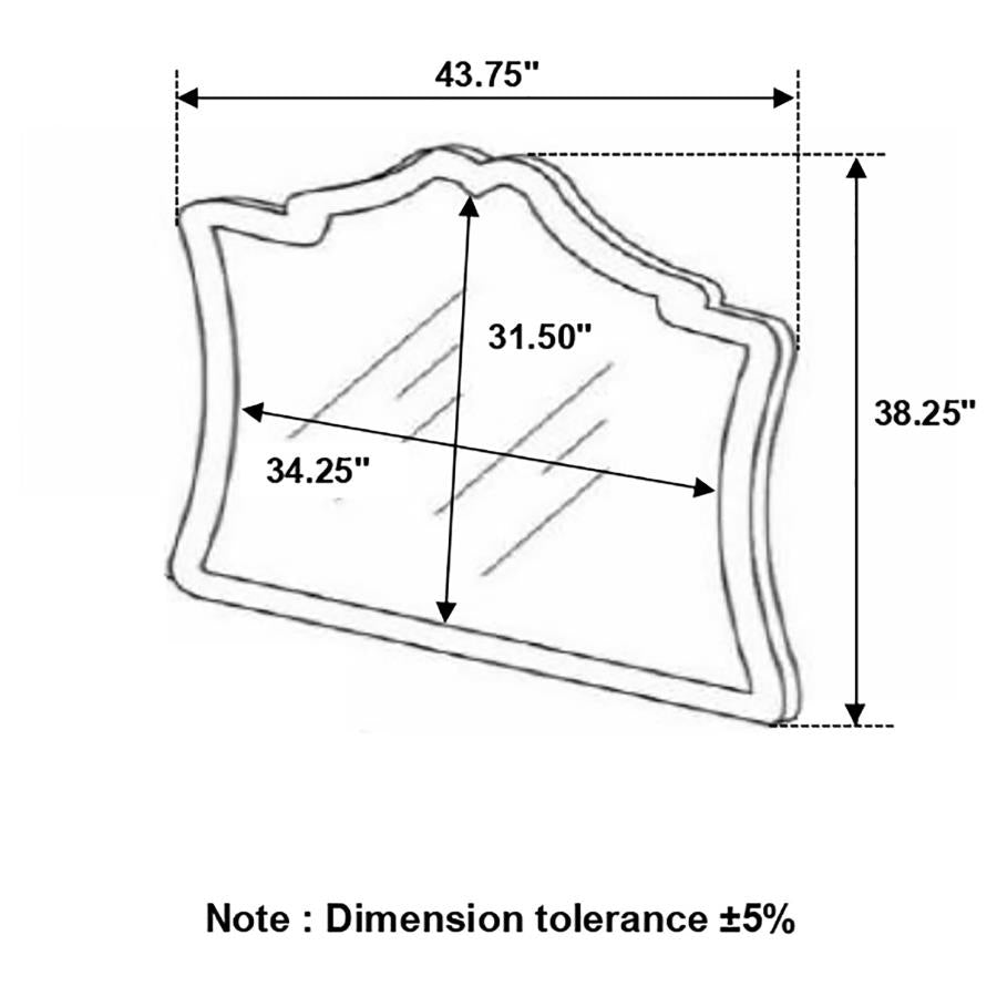 Antonella Mirror With Nailhead Trim Camel