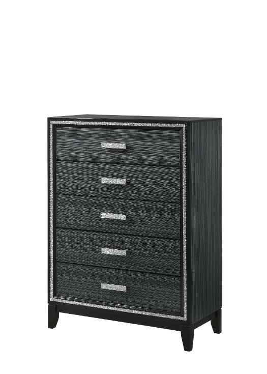 Haiden Weathered Black Finish Chest
