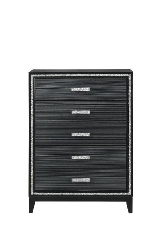 Haiden Weathered Black Finish Chest