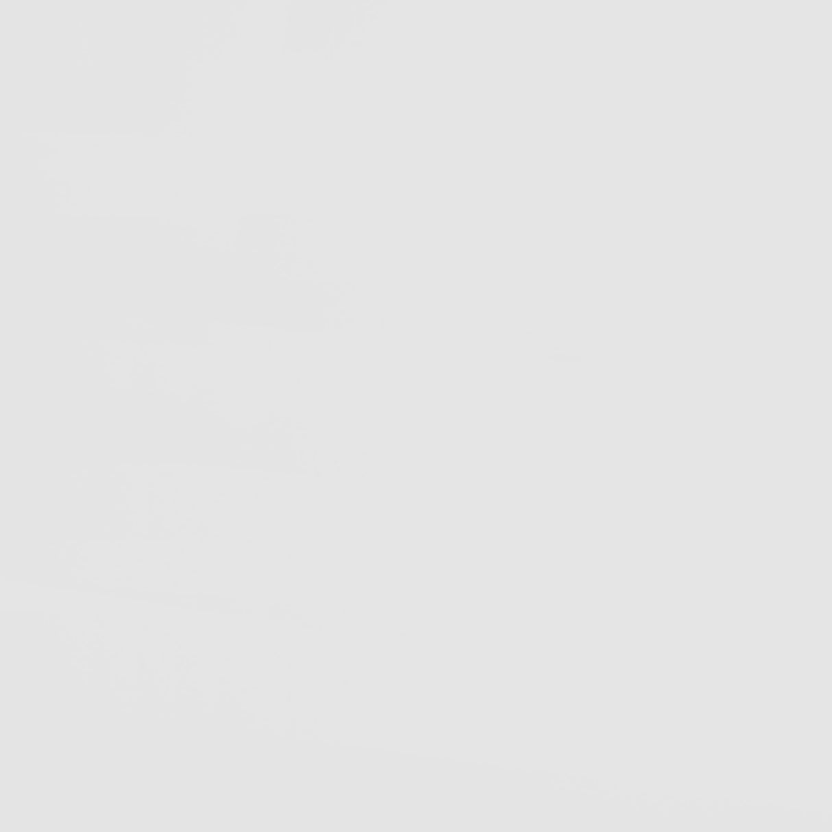 Frankie Twin Over Twin Bunk Bed with 7-inch Mattresses White