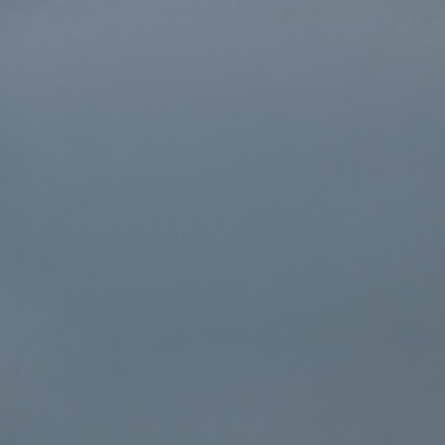 Frankie Van Courtland Blue Wood Twin Over Bunk Bed And Natural