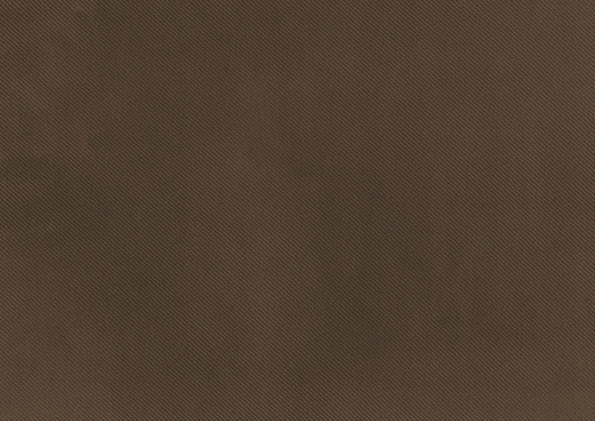 Garrell Brown Velvet Lift Top Storage Bench with Pull-out Bed