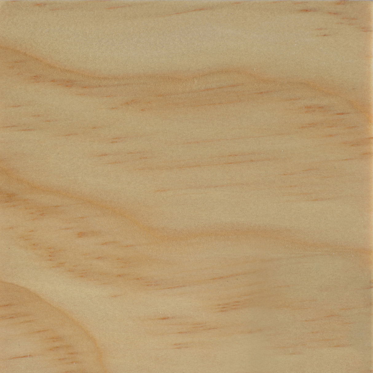 Carrie 3-Panel Folding Screen Natural And White