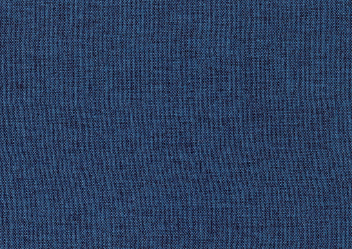 Trudy Daybed With Trundle