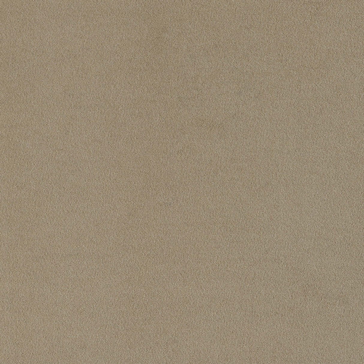 Rainn Upholstered Tight Back Sofa Latte