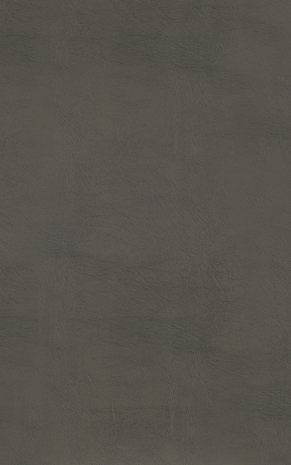 Ordway Gray/Brown Dining Stool, Gray