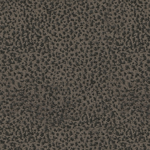 Camera Gunmetal Time Recliner