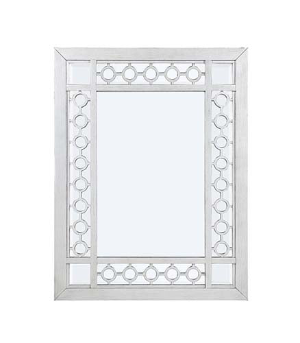 Varian Mirrored & Antique Platinum Finish Mirror