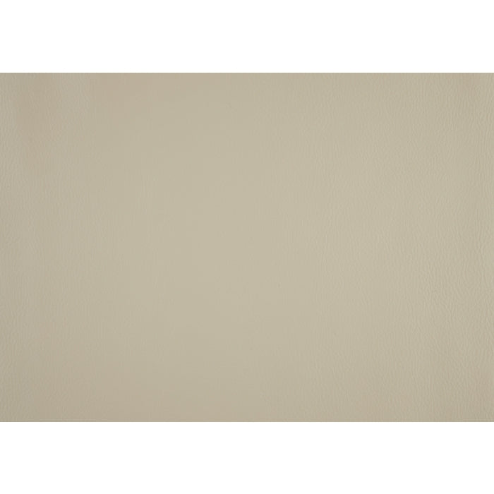 Amite Beige Double Reclining Loveseat with Center Console