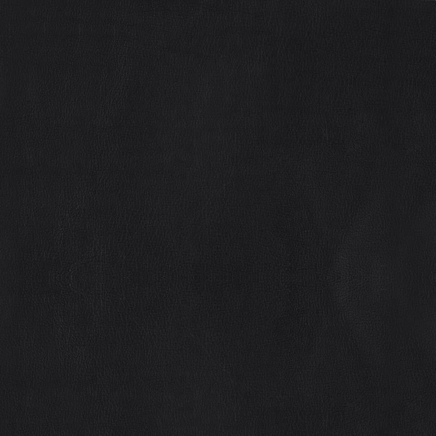 Aaron Padded Seat Accent Chair Black