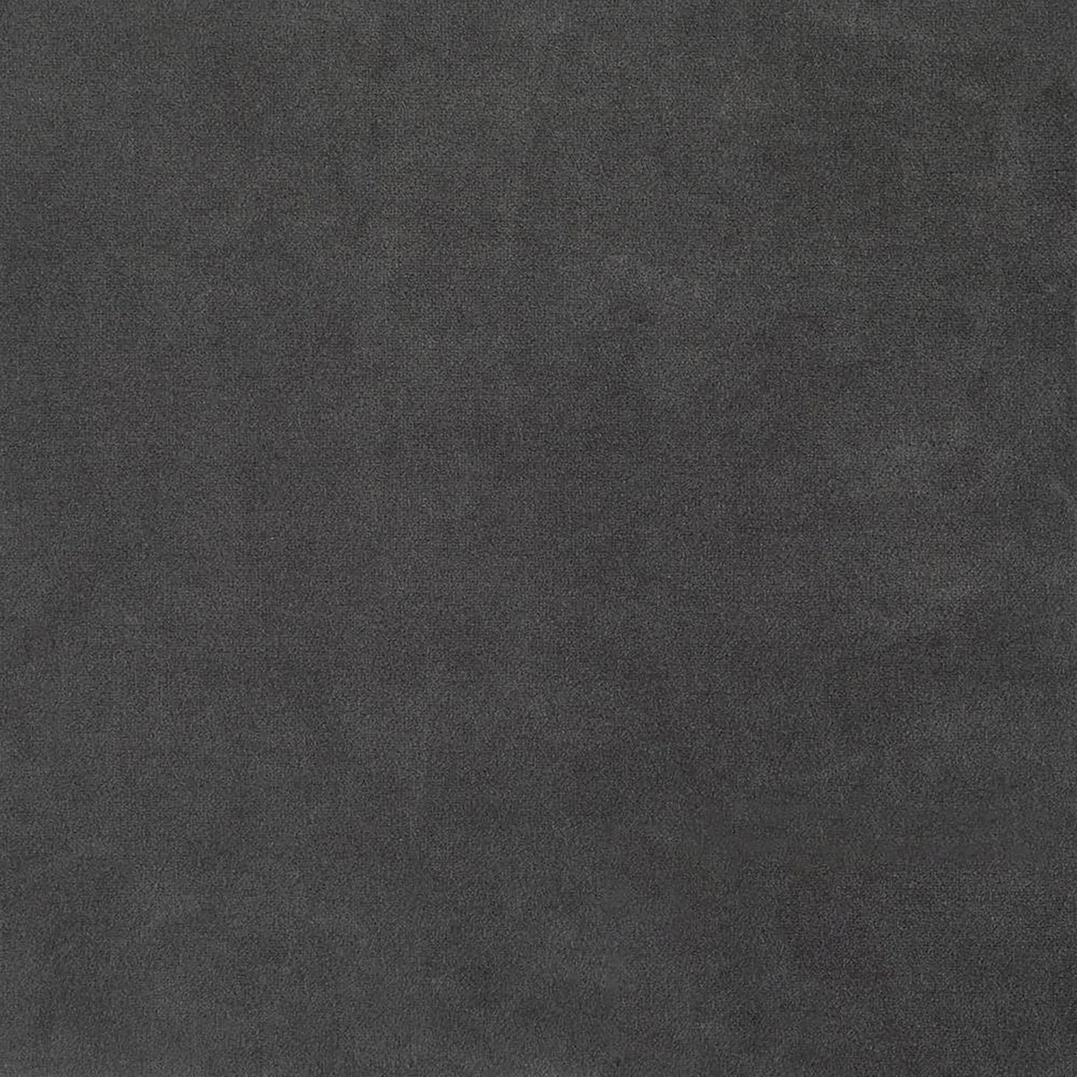 Joey Tufted Barrel Accent Chair Dark Grey And Gold