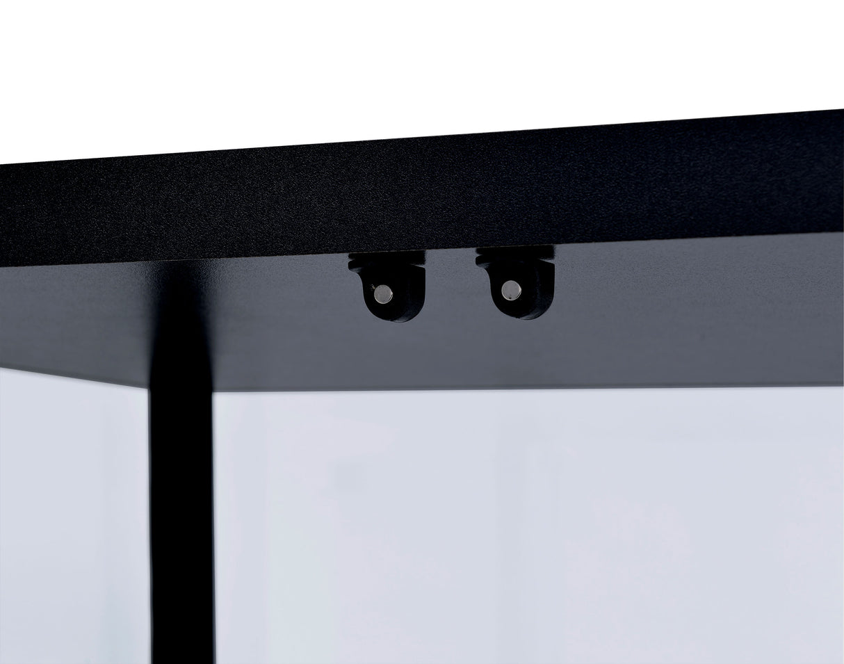 Delphinium 5-Shelf Glass Curio Cabinet Black And Clear