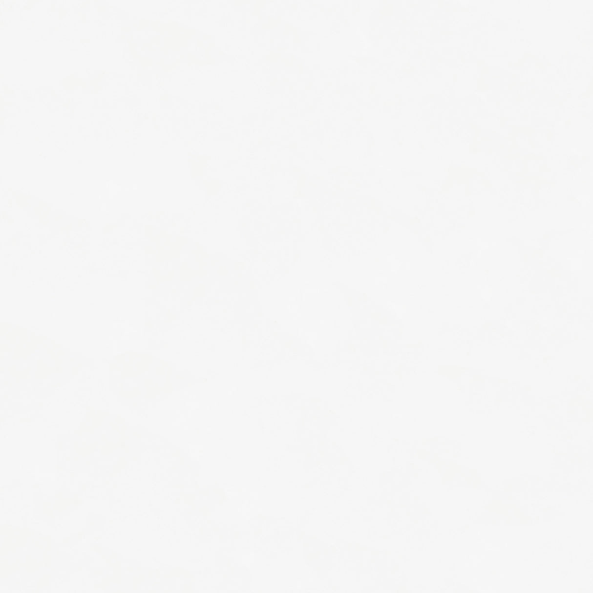 Bellatrix Rectangular 4-Shelf Curio Cabinet White And Clear