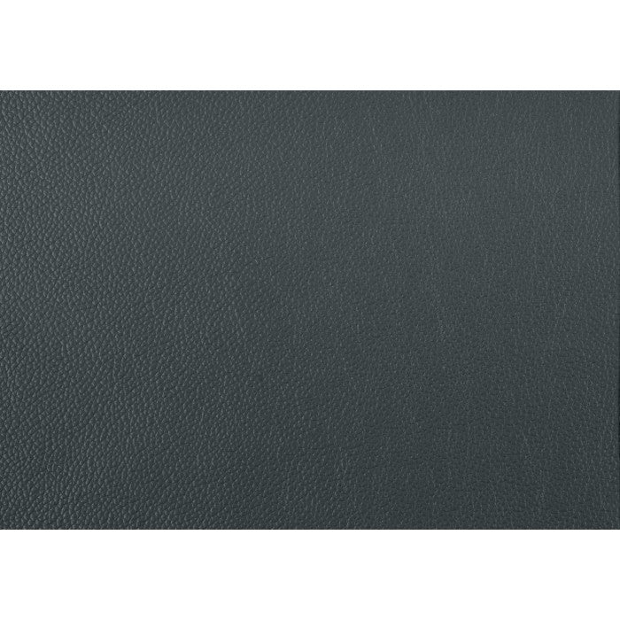 Mischa Dark Gray Top-Grain Leather Sofa