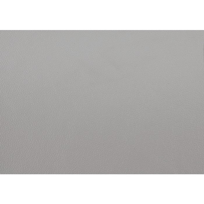 Mischa Silver Grain Top Grain Leather Loveseat