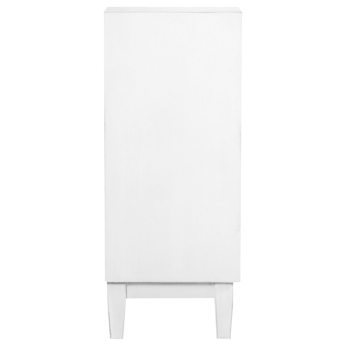 Gambon Rectangular 2-Door Accent Cabinet White