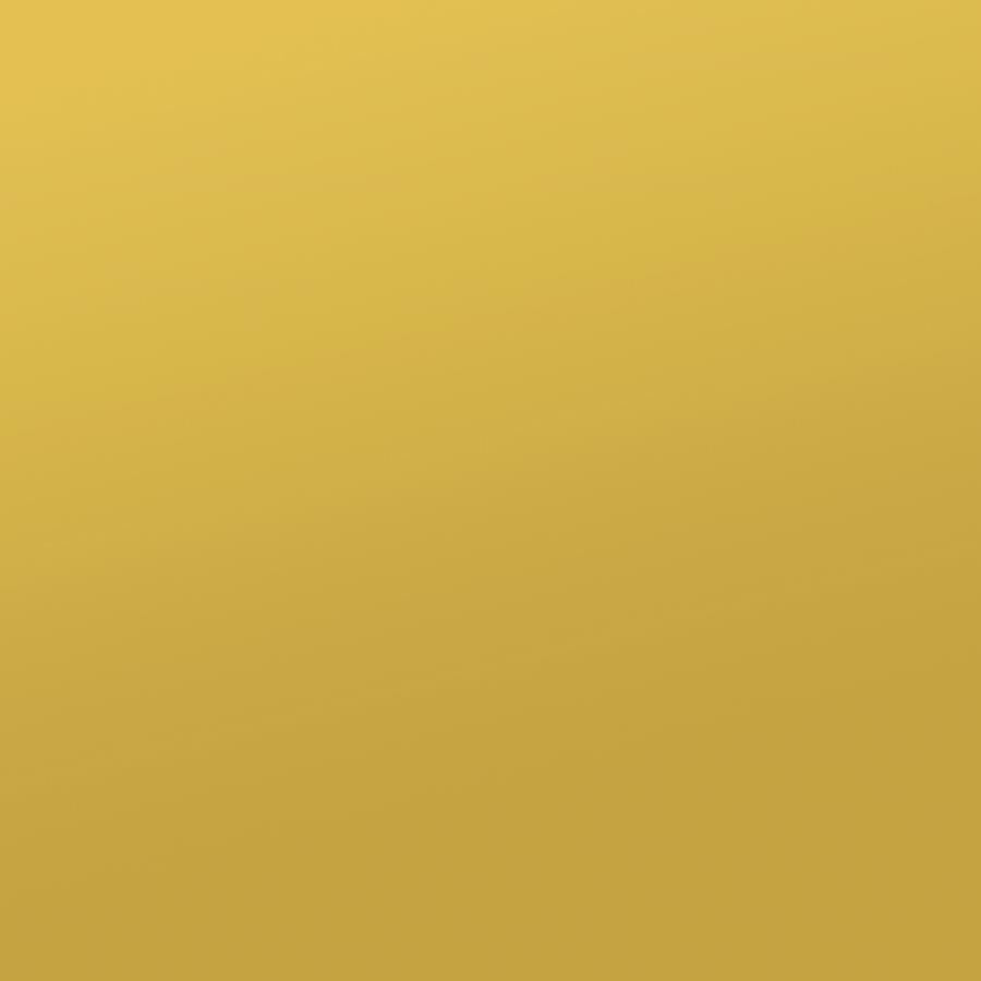 Elsa 2-Door Accent Cabinet With Adjustable Shelves White And Gold