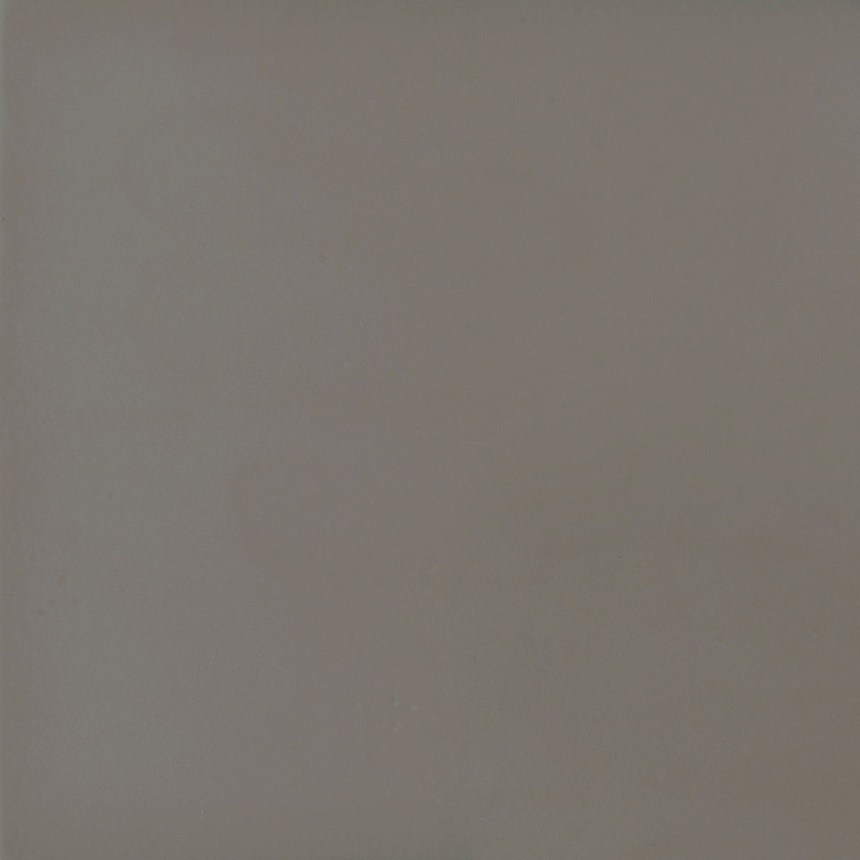 Deepika 4-Panel Folding Screen Grey Driftwood