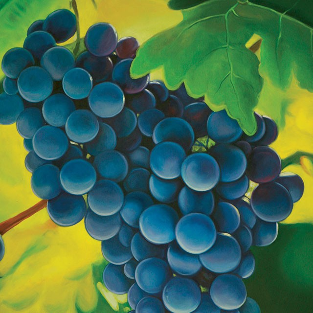Grapes Printed Canvas Painting