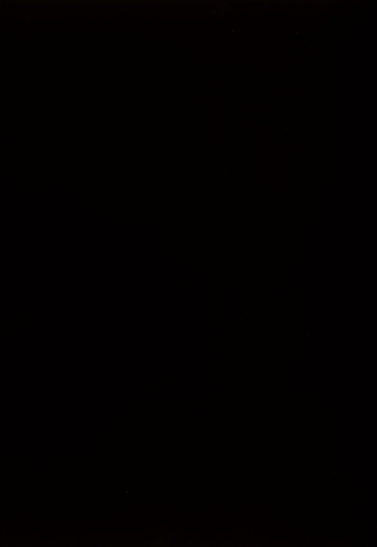 Kimonte Dark Brown Dining Table