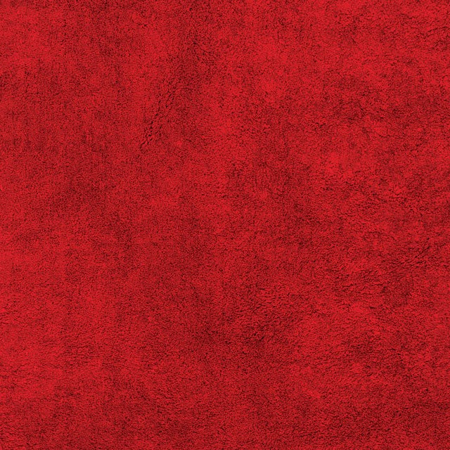 Zala Shag Medium Area Rug