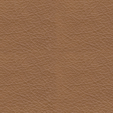 Tryanny Caramel Power Recliner