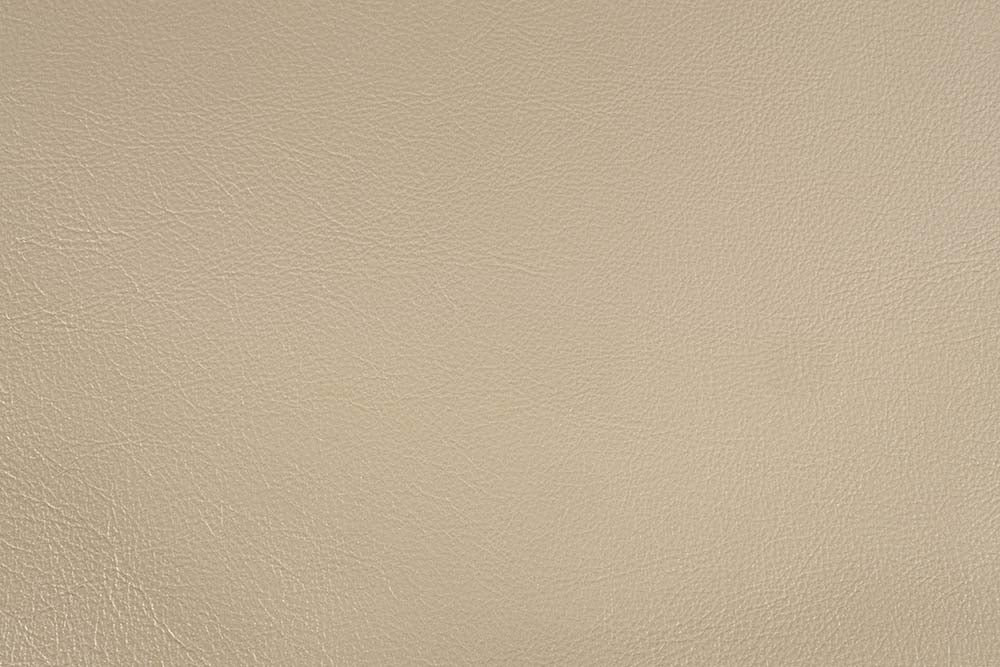 Sorina Synthetic Leather & Antique Gold Finish Eastern King Bed