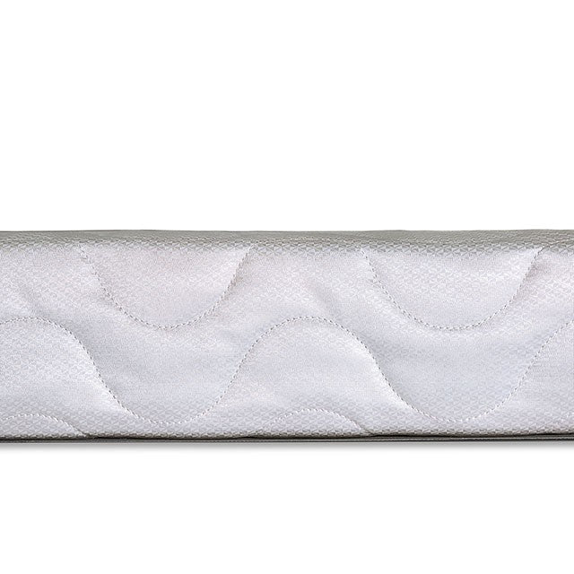 Bird Of Paradise Queen Size