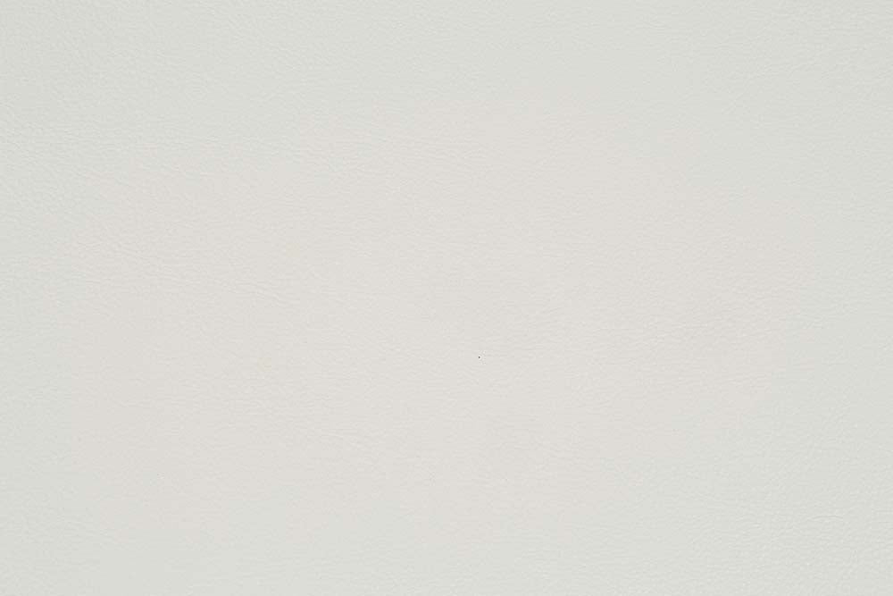 Adara Pearl White Synthetic Leather & Antique White Finish Arm Chair (Set-2)