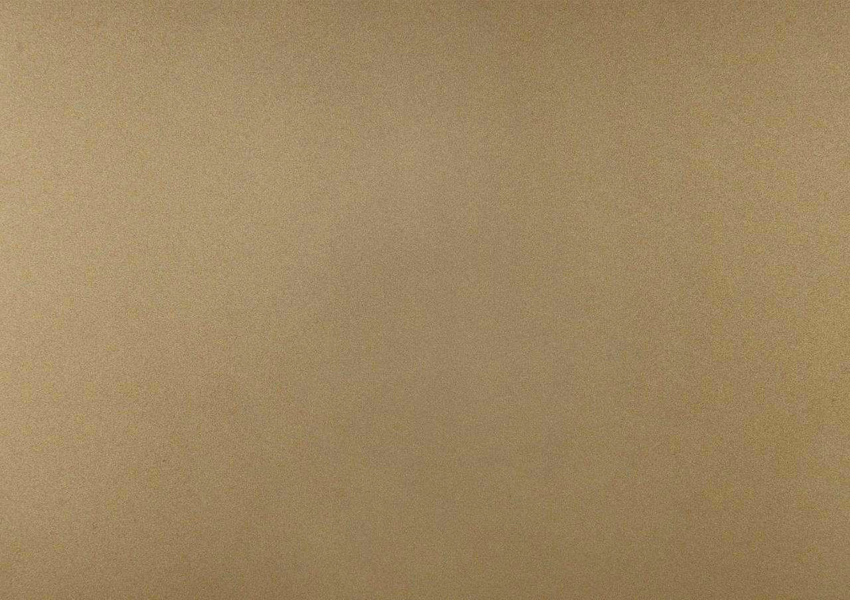 Loudon Champagne Metallic Youth Platform Bedroom Set