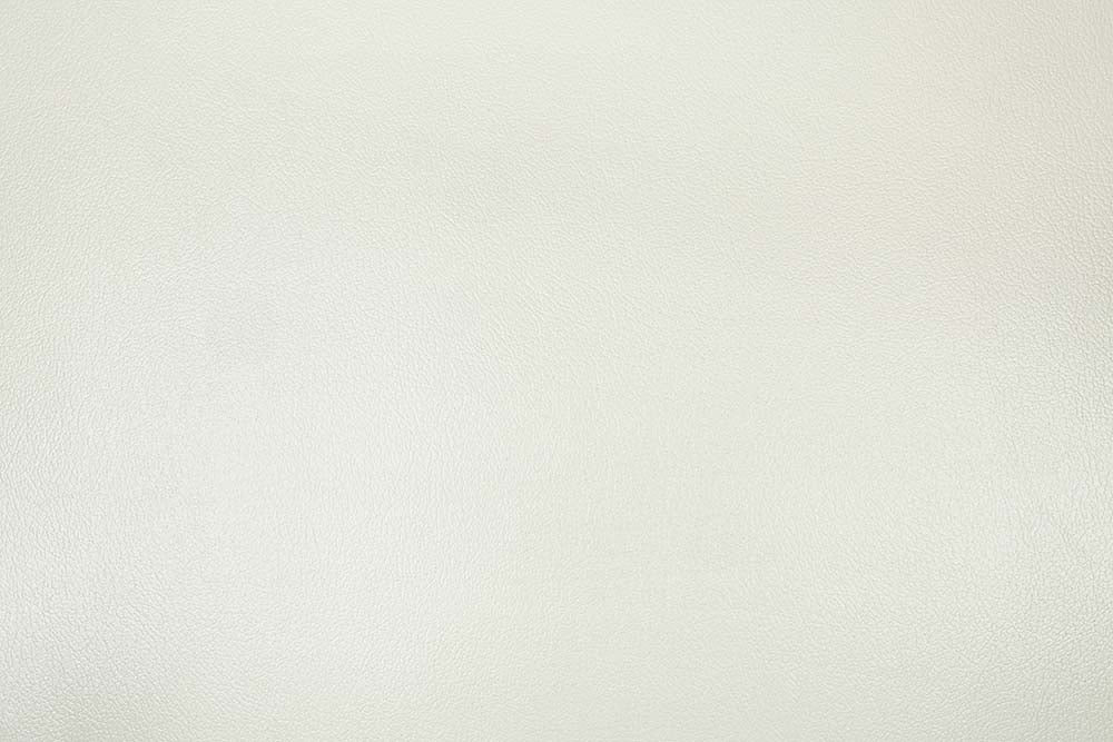 Adara Pearl White Synthetic Leather & Antique White Finish Loveseat