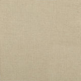 Baney Tufted Upholstered Dining Chair Beige