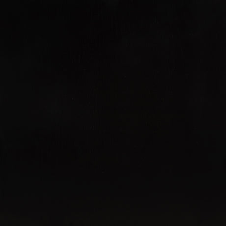 Middleton Solid Wood Dining Side Chair Black (Set of 2)