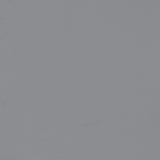 Caballo Upholstered Side Chairs Grey (Set Of 2)