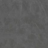 Brassie Upholstered Side Chairs Grey (Set Of 2)