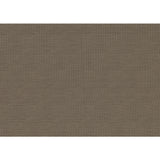 Ever Champagne Queen Bed