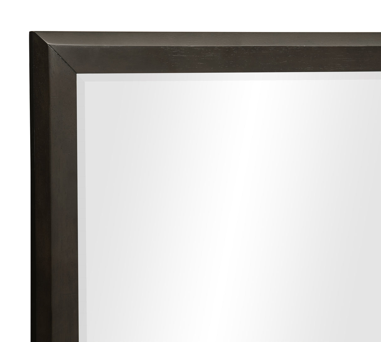 Hodgin Dark Charcoal Mirror