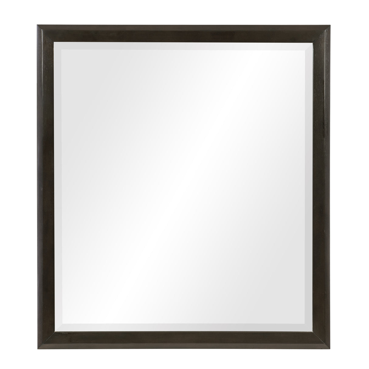 Hodgin Dark Charcoal Mirror
