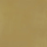 Lindsey Black Upholstered Dining Side Chair (Set Of 2)