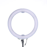 18'' Bi-Color LED Studio Ring Light