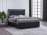 Marceline Black Wood Eastern King Led Panel Bed