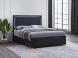 Marceline Black Wood Queen Led Panel Bed