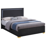 Marceline Black Wood Queen Led Panel Bed