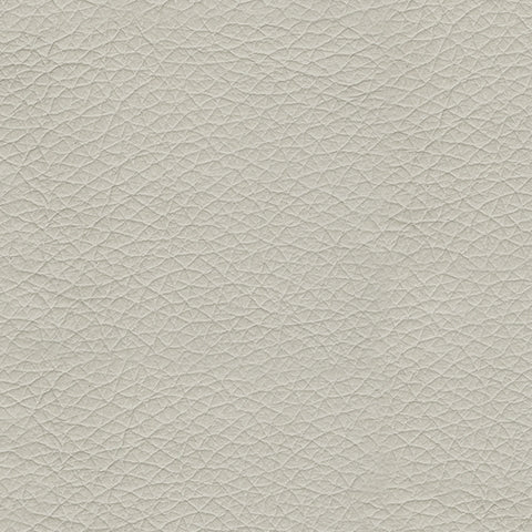 Genoa Coconut Queen Sofa Sleeper