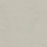 Genoa Coconut Queen Sofa Sleeper