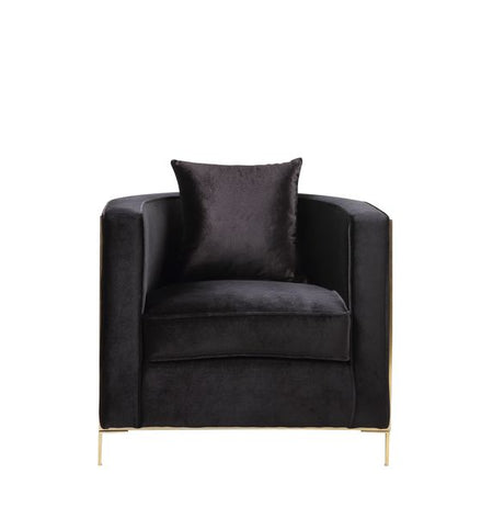 Fergal Black Velvet & Gold Finish Chair