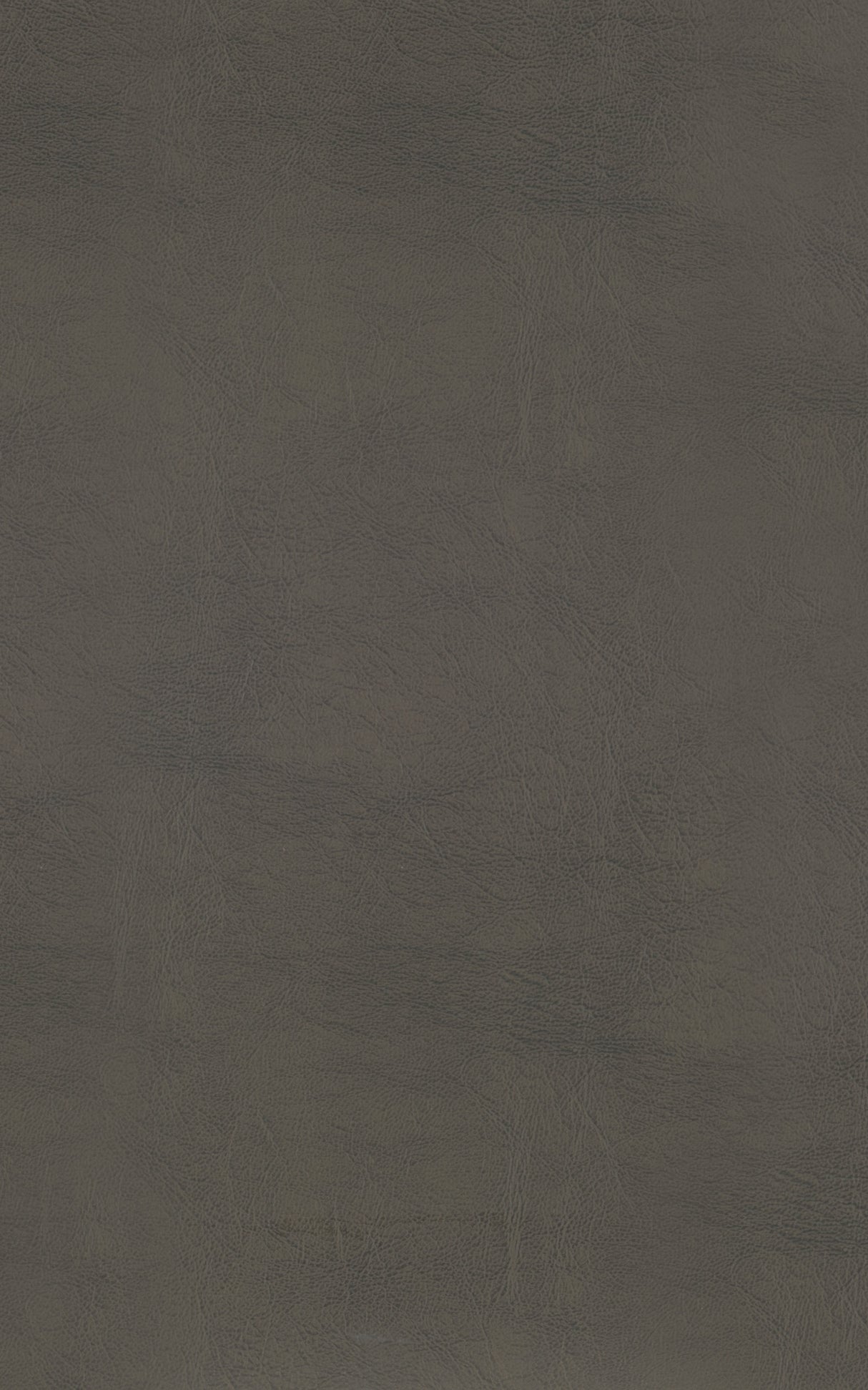 Westby Gray/Brown Round Swivel Pub Height Stool, Set of 2